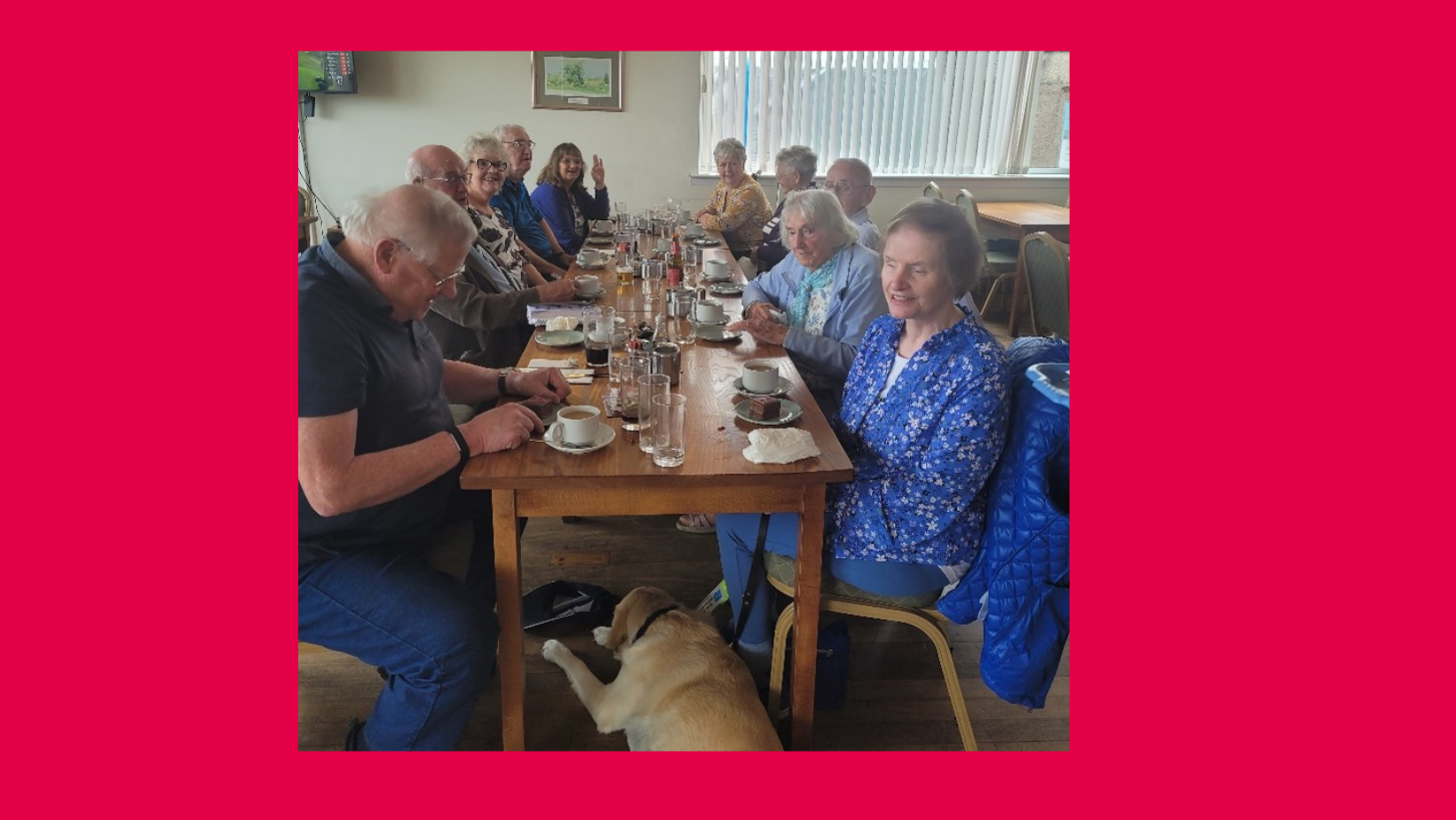 A group of people sit round a table with cups of tea. Binnie Taylor is in the front right hand corner with guide dog Amber at her feet