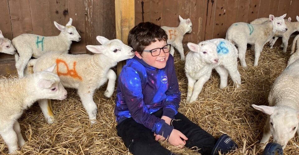 One of our young people sits in a barn full of hay surrounded by lambs