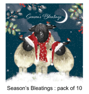 three sheep in festive hats and scarfs