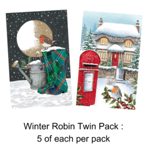 two Christmas cards - one displaying a robin perched on a tartan welly boot; the second perched beside a red postbox