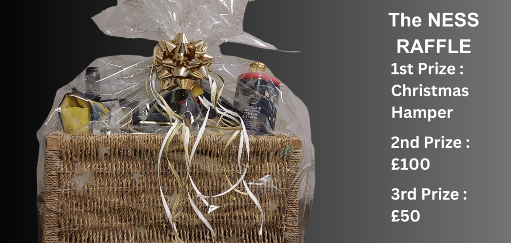 photo of festive food hamper. text reads - The NESS Hamper.